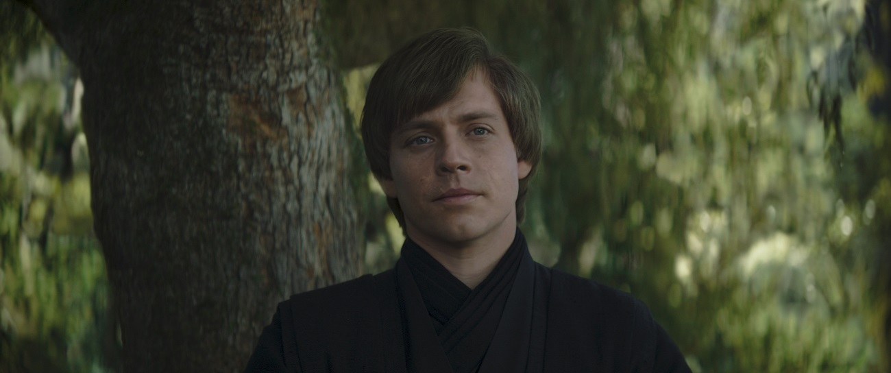 Luke Skywalker: uma visita inesperada!