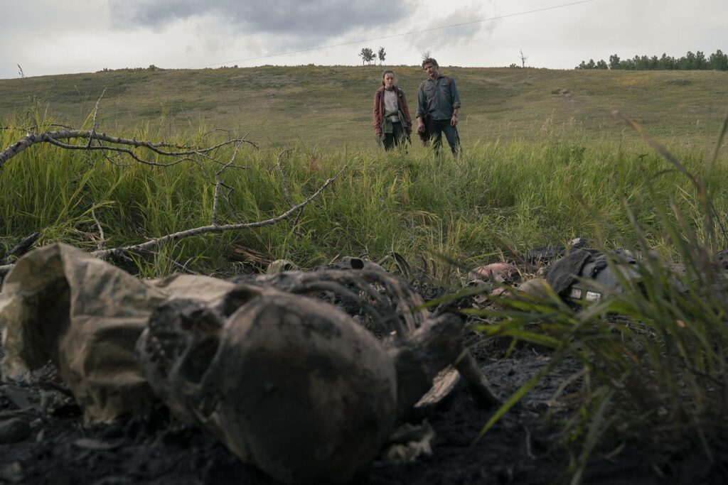 The Last of Us, HBO Max